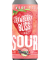 Connecticut Valley Brewing Company Strawberry Bliss Sour