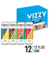 Vizzy Hard Seltzer Berry Mix Variety Pack