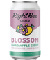 Right Bee - Blossom Hard Cider (6 pack 12oz bottles)