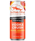 Dogfish Head Vodka Crush Blood Orange &amp; Mango (12oz can)