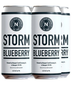Newport Craft Brewing & Distilling - Newport Storm Blueberry 16oz Cans