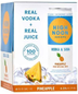 High Noon - Pineapple Vodka & Soda Hard Seltzer (4 pack 355ml cans)