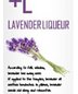 broVo +L Lavender Liqueur