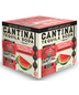 Cantina Watermelon Tequila Soda 4pk 355ml Can