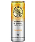 White Claw Pineapple Vodka Soda 4pk (355ml)