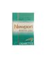 Newport - Gold Box 100 - Individual Pack (Each)