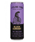 Cycling Frog Black Currant Delta 6pk 6pk (6 pack 12oz cans)