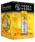 White Claw - Pineapple Vodka + Soda (4 pack 355ml cans)
