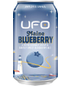 UFO Beer Maine Blueberry