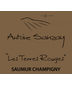 2019 Domaine Antoine Sanzay Saumur-Champigny Les Terres Rouges