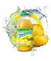 Everfresh Pineapple Juice 32oz Btl Sngl 32OZ - MB Liquors