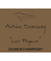 Domaine Antoine Sanzay Saumur-Champigny Les Poyeux