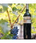 2021 Cabernet Sauvignon, Plumpjack Estate, Oakville, CA,