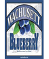 Wachusett Blueberry Ale – 12 pack