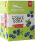 Dogfish Head Blueberry Shrub Vodka Soda (4 pack 12oz cans)