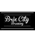 Brix City Brewing Visions Of Haze DIPA
