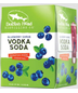 Dogfish Head - Blueberry Shrub Vodka Soda Cans 4 pack (12oz bottles)