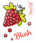 Sharrott Winery - Sweet Blush NV (750ml)
