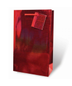 Gift bag - 2bottle Foil Paper Red Bag