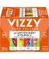 Vizzy - Hard Seltzer Variety Pack