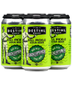 Destihl Dill Pickle Sour 4pk 12oz Can