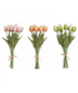 Produce - Tulip Bouquet 1 Ct