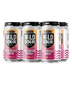 Destihl Brewery - Sour Ale with Dragonfruit & Mango (6 pack 12oz cans)