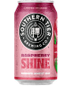 Southern Tier Brewing Company Raspberry Shine Summer Wheat Ale