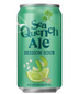 Dogfish Head SeaQuench Session Sour, 6pk Can