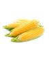 Pack Corn