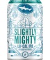 Dogfish Head Slightly Mighty Lo-Cal Ipa"> <meta property="og:locale" content="en_US