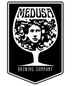 Medusa Brewing - Rapid Refresh (4 pack 16oz cans)