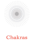 2023 Chakras Malbec Reserva