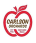 Carlson Peach Festival Dry Cider 16oz Cans