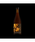 2023 Commonwealth Brewing Co Marvoloso : V13