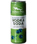 Dogfish Head - Blueberry Shrub Vodka Soda (355ml)