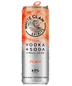 White Claw - Peach Vodka Soda (355ml)