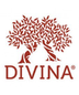 Divina - Blue Cheese Olives (7oz)