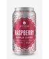 Stem Cider - Raspberry Apple Cider (4 pack cans)
